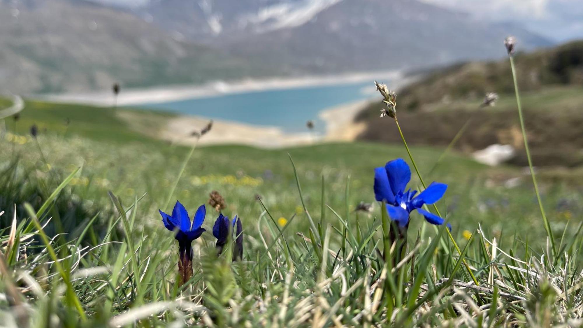 Aux Portes Du Parc National De La Vanoise Appartement Termignon Val Cenis Avec Wifi エクステリア 写真