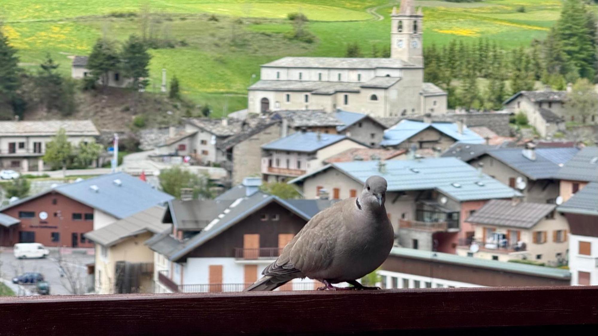 Aux Portes Du Parc National De La Vanoise Appartement Termignon Val Cenis Avec Wifi エクステリア 写真